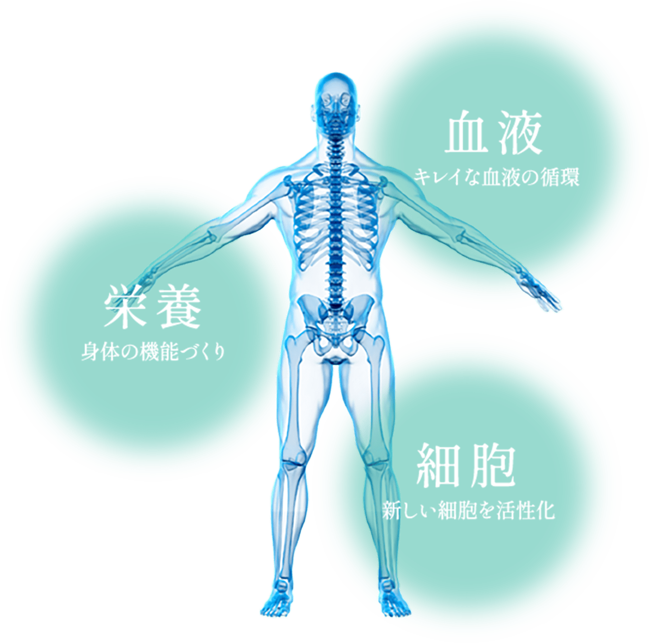 包括的な保健指導を実践